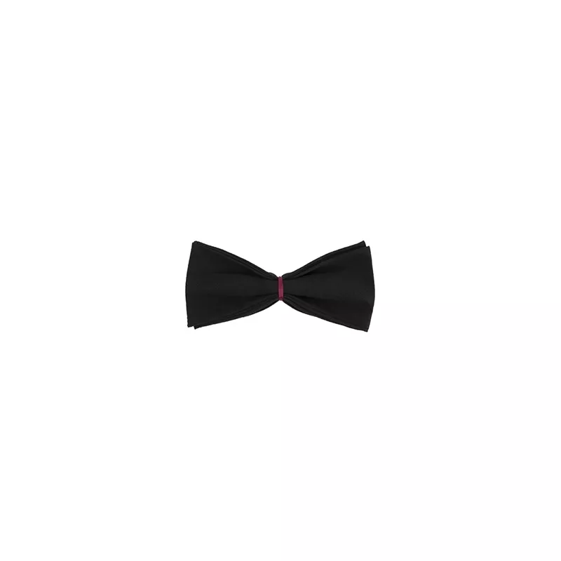 Black bow tie with purple heart