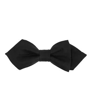 Nœud papillon Black Pap'...
